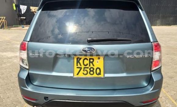 Nunua Ilio tumika Subaru Forester Nyingine Gari ndani ya Busia nchini West Kenya Nunua Ilio tumika Subaru Forester Nyingine Gari ndani ya Busia nchini West Kenya