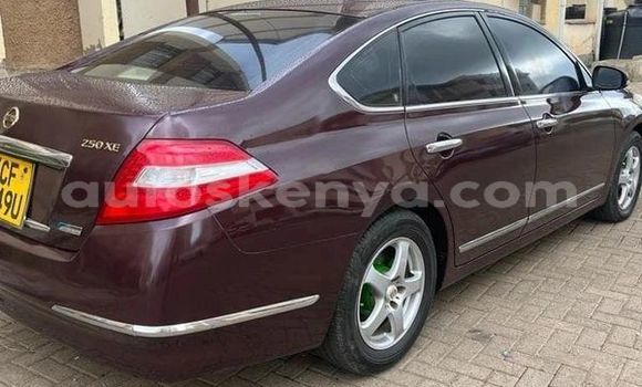 Buy Used Nissan Terrano Other Car in Nairobi in Nairobi Buy Used Nissan Terrano Other Car in Nairobi in Nairobi