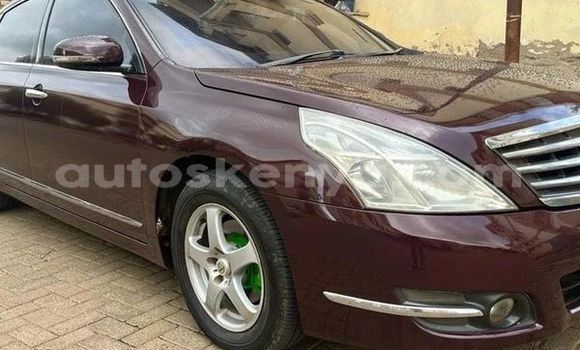 Buy Used Nissan Terrano Other Car in Nairobi in Nairobi Buy Used Nissan Terrano Other Car in Nairobi in Nairobi