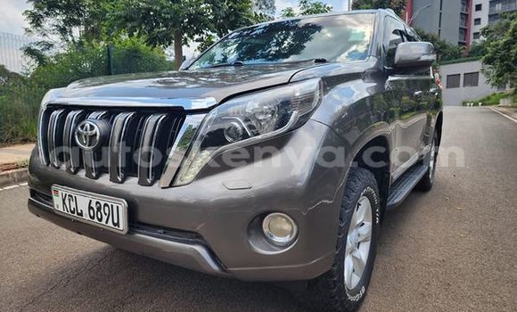 Oofamaa Toyota Prado Other Makiinaa iti Bute keessatti Northeast Kenya keessatti Oofamaa Toyota Prado Other Makiinaa iti Bute keessatti Northeast Kenya keessatti