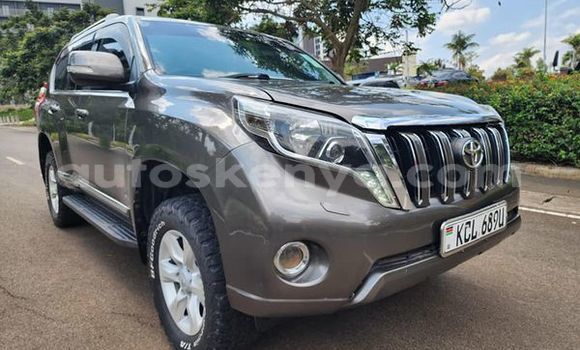Oofamaa Toyota Prado Other Makiinaa iti Bute keessatti Northeast Kenya keessatti Oofamaa Toyota Prado Other Makiinaa iti Bute keessatti Northeast Kenya keessatti