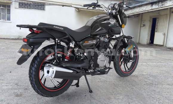 Oofamaa Evalast Kuga Black Doqdoqqee iti Nairobi keessatti Nairobi keessatti