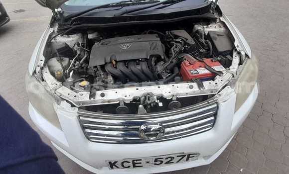 Oofamaa Toyota Axio White Makiinaa iti Nairobi keessatti Nairobi keessatti Oofamaa Toyota Axio White Makiinaa iti Nairobi keessatti Nairobi keessatti