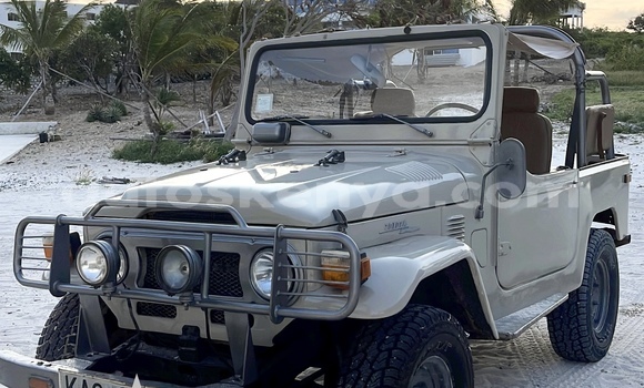 Buy Used Toyota FJ Cruiser Beige Car in Malindi in Coast