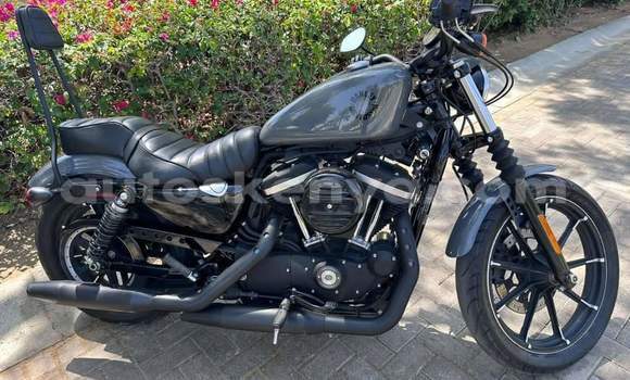 Oofamaa Harley Davidson Street Glide Black Doqdoqqee iti Nakuru keessatti Rift Valley keessatti Oofamaa Harley Davidson Street Glide Black Doqdoqqee iti Nakuru keessatti Rift Valley keessatti
