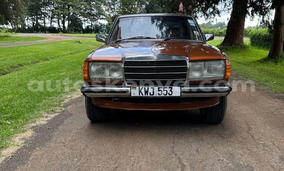 Oofamaa Mercedes‒Benz W123 Other Makiinaa iti Nairobi keessatti Nairobi keessatti Oofamaa Mercedes‒Benz W123 Other Makiinaa iti Nairobi keessatti Nairobi keessatti