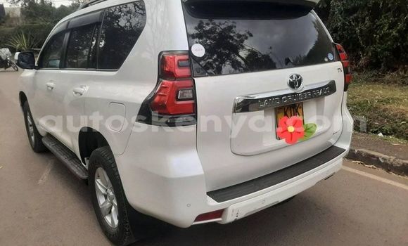 Buy Used Toyota Land Cruiser Prado White Car in Bura in Northeast Kenya Buy Used Toyota Land Cruiser Prado White Car in Bura in Northeast Kenya