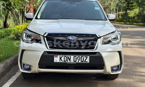 Oofamaa Subaru Forester White Makiinaa iti Bute keessatti Northeast Kenya keessatti Oofamaa Subaru Forester White Makiinaa iti Bute keessatti Northeast Kenya keessatti
