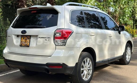 Nunua Ilio tumika Subaru Forester Nyeupe Gari ndani ya Bute nchini Kaskazini Mashariki mwa Kenya Nunua Ilio tumika Subaru Forester Nyeupe Gari ndani ya Bute nchini Kaskazini Mashariki mwa Kenya
