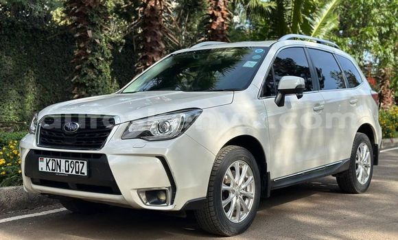 Nunua Ilio tumika Subaru Forester Nyeupe Gari ndani ya Bute nchini Kaskazini Mashariki mwa Kenya Nunua Ilio tumika Subaru Forester Nyeupe Gari ndani ya Bute nchini Kaskazini Mashariki mwa Kenya