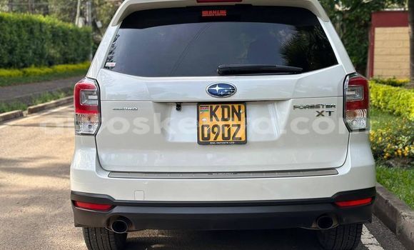 Nunua Ilio tumika Subaru Forester Nyeupe Gari ndani ya Bute nchini Kaskazini Mashariki mwa Kenya Nunua Ilio tumika Subaru Forester Nyeupe Gari ndani ya Bute nchini Kaskazini Mashariki mwa Kenya