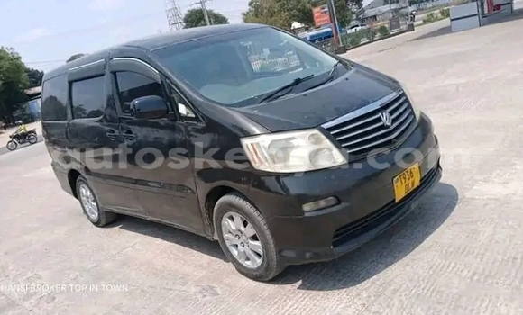 Buy Used Toyota Alphard Black Car in Bute in Northeast Kenya Buy Used Toyota Alphard Black Car in Bute in Northeast Kenya