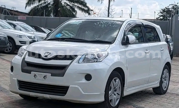 Buy Used Toyota IST White Car in Bute in Northeast Kenya Buy Used Toyota IST White Car in Bute in Northeast Kenya