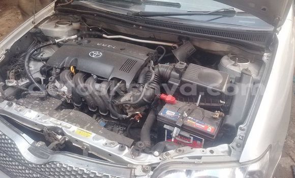 Nunua Ilio tumika Toyota Fielder Fedha Gari ndani ya Nairobi nchini Nairobi Nunua Ilio tumika Toyota Fielder Fedha Gari ndani ya Nairobi nchini Nairobi