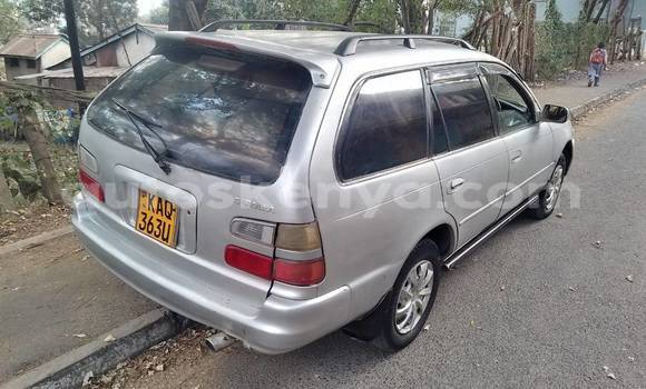 Nunua Ilio tumika Toyota Touring HiAce Fedha Gari ndani ya Nairobi nchini Nairobi Nunua Ilio tumika Toyota Touring HiAce Fedha Gari ndani ya Nairobi nchini Nairobi