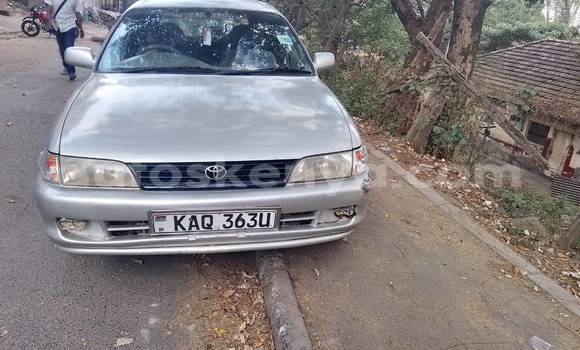 Nunua Ilio tumika Toyota Touring HiAce Fedha Gari ndani ya Nairobi nchini Nairobi Nunua Ilio tumika Toyota Touring HiAce Fedha Gari ndani ya Nairobi nchini Nairobi