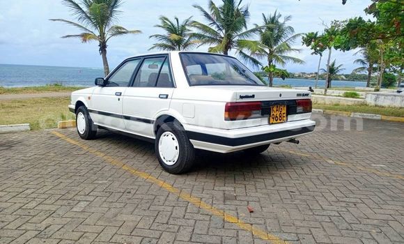 Oofamaa Nissan Sunny White Makiinaa iti Machakos keessatti Nairobi keessatti Oofamaa Nissan Sunny White Makiinaa iti Machakos keessatti Nairobi keessatti