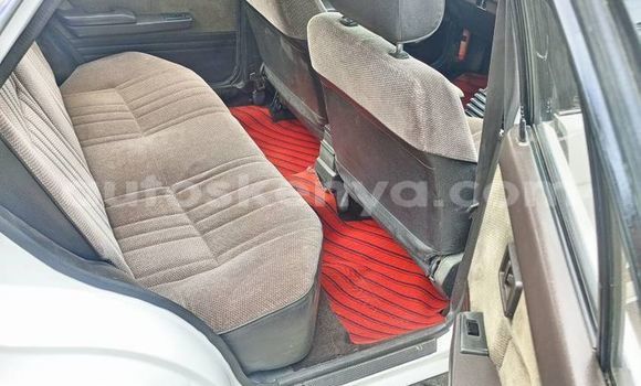 Oofamaa Nissan Sunny White Makiinaa iti Machakos keessatti Nairobi keessatti Oofamaa Nissan Sunny White Makiinaa iti Machakos keessatti Nairobi keessatti