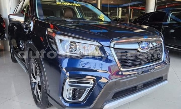 Oofamaa Subaru Forester Black Makiinaa iti Bungoma keessatti West Kenya keessatti Oofamaa Subaru Forester Black Makiinaa iti Bungoma keessatti West Kenya keessatti