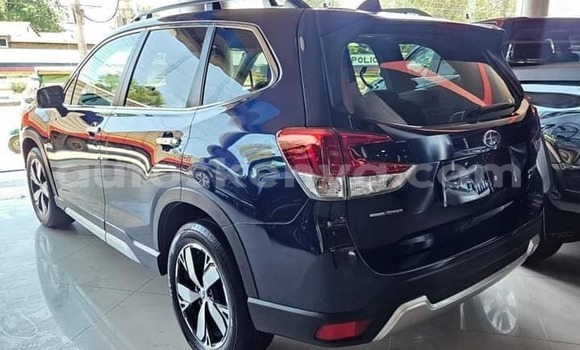 Oofamaa Subaru Forester Black Makiinaa iti Bungoma keessatti West Kenya keessatti Oofamaa Subaru Forester Black Makiinaa iti Bungoma keessatti West Kenya keessatti