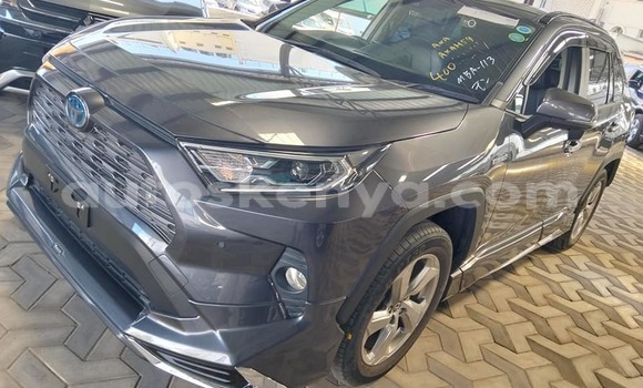 Buy Used Toyota RAV4 Other Car in Bungoma in West Kenya