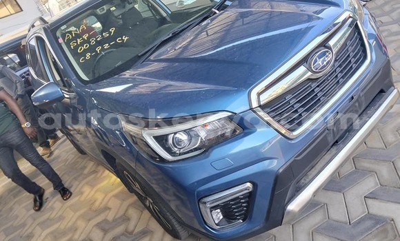 Oofamaa Subaru Forester Blue Makiinaa iti Bura keessatti Northeast Kenya keessatti