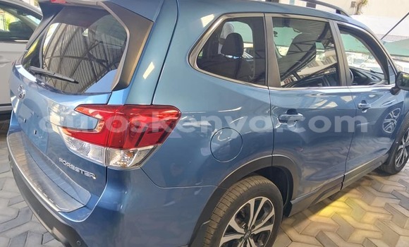 Oofamaa Subaru Forester Blue Makiinaa iti Bura keessatti Northeast Kenya keessatti Oofamaa Subaru Forester Blue Makiinaa iti Bura keessatti Northeast Kenya keessatti