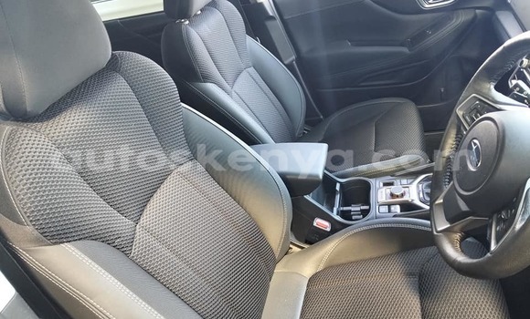 Oofamaa Subaru Forester Blue Makiinaa iti Bura keessatti Northeast Kenya keessatti Oofamaa Subaru Forester Blue Makiinaa iti Bura keessatti Northeast Kenya keessatti