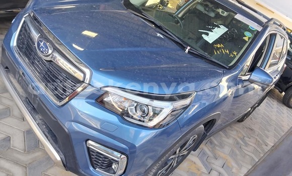 Oofamaa Subaru Forester Blue Makiinaa iti Bura keessatti Northeast Kenya keessatti Oofamaa Subaru Forester Blue Makiinaa iti Bura keessatti Northeast Kenya keessatti