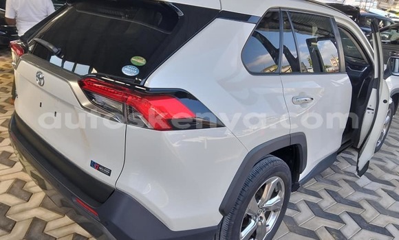 Oofamaa Toyota RAV4 White Makiinaa iti Bura keessatti Northeast Kenya keessatti Oofamaa Toyota RAV4 White Makiinaa iti Bura keessatti Northeast Kenya keessatti