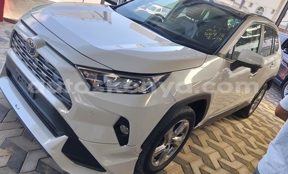 Oofamaa Toyota RAV4 White Makiinaa iti Bura keessatti Northeast Kenya keessatti Oofamaa Toyota RAV4 White Makiinaa iti Bura keessatti Northeast Kenya keessatti