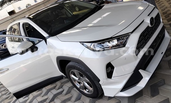 Oofamaa Toyota RAV4 White Makiinaa iti Bura keessatti Northeast Kenya keessatti Oofamaa Toyota RAV4 White Makiinaa iti Bura keessatti Northeast Kenya keessatti