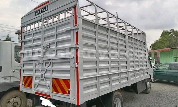 Buy Used Isuzu N–serie White Truck in Busia in West Kenya Buy Used Isuzu N–serie White Truck in Busia in West Kenya