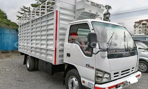 Buy Used Isuzu N–serie White Truck in Busia in West Kenya Buy Used Isuzu N–serie White Truck in Busia in West Kenya
