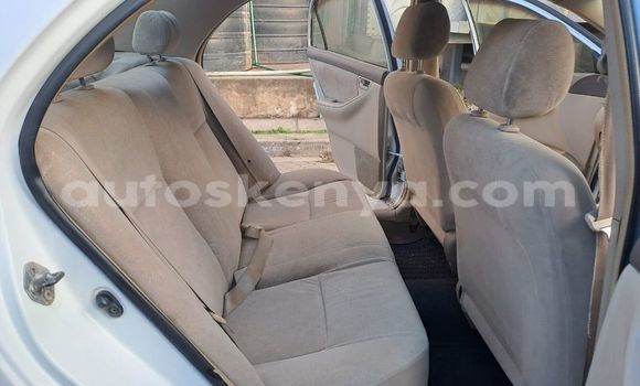 Buy Used Toyota Nadia White Car in Busia in West Kenya Buy Used Toyota Nadia White Car in Busia in West Kenya