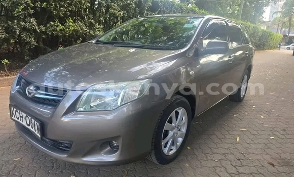 Buy Used Toyota Fielder Other Car in Bute in Northeast Kenya Buy Used Toyota Fielder Other Car in Bute in Northeast Kenya