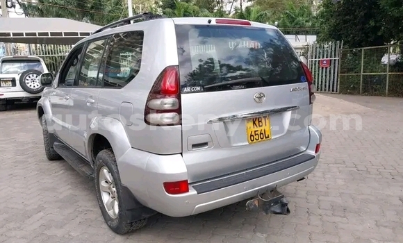 Buy Used Toyota Prado White Car in Bute in Northeast Kenya Buy Used Toyota Prado White Car in Bute in Northeast Kenya