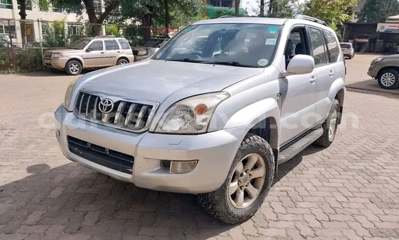 Buy Used Toyota Prado White Car in Bute in Northeast Kenya Buy Used Toyota Prado White Car in Bute in Northeast Kenya