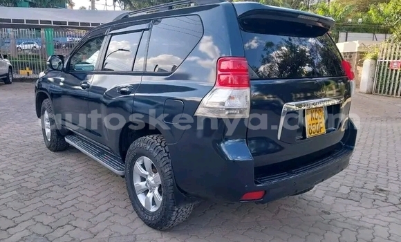 Buy Used Toyota Land Cruiser Prado Black Car in Bute in Northeast Kenya Buy Used Toyota Land Cruiser Prado Black Car in Bute in Northeast Kenya