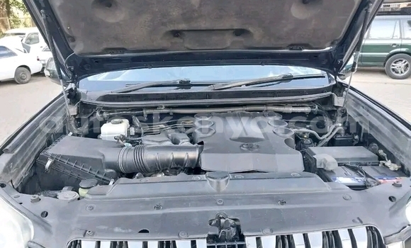 Buy Used Toyota Land Cruiser Prado Black Car in Bute in Northeast Kenya Buy Used Toyota Land Cruiser Prado Black Car in Bute in Northeast Kenya