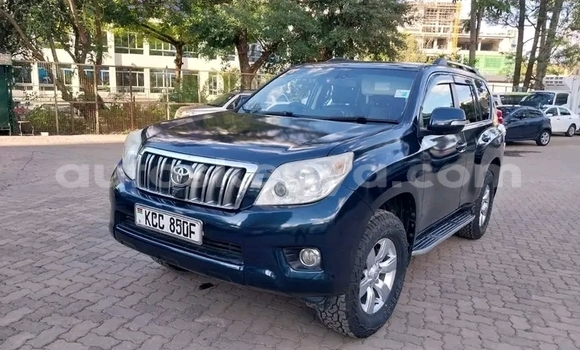 Buy Used Toyota Land Cruiser Prado Black Car in Bute in Northeast Kenya Buy Used Toyota Land Cruiser Prado Black Car in Bute in Northeast Kenya