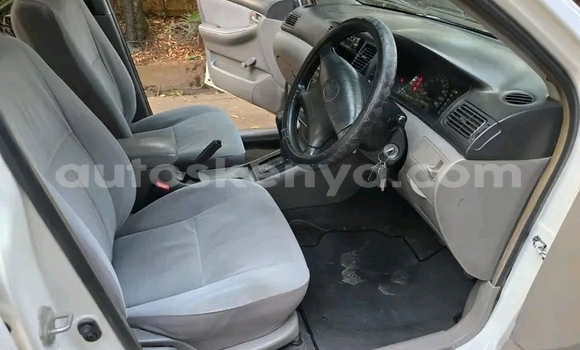 Buy Used Toyota Corolla White Car in Bute in Northeast Kenya Buy Used Toyota Corolla White Car in Bute in Northeast Kenya