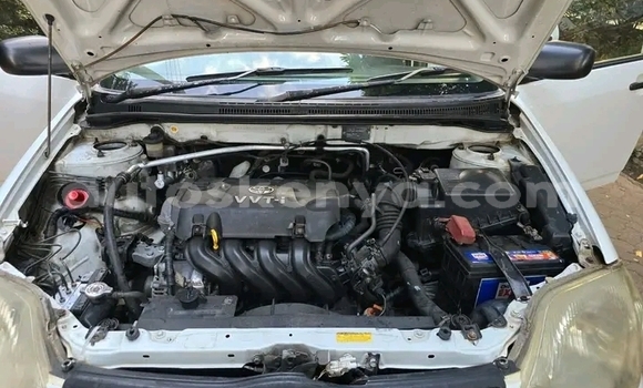 Buy Used Toyota Corolla White Car in Bute in Northeast Kenya Buy Used Toyota Corolla White Car in Bute in Northeast Kenya