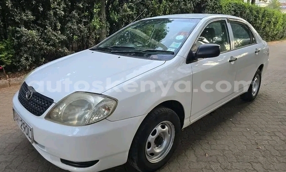 Buy Used Toyota Corolla White Car in Bute in Northeast Kenya Buy Used Toyota Corolla White Car in Bute in Northeast Kenya