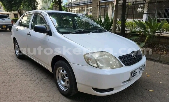 Buy Used Toyota Corolla White Car in Bute in Northeast Kenya Buy Used Toyota Corolla White Car in Bute in Northeast Kenya