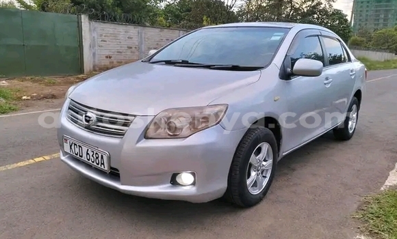 Oofamaa AC Ace Silver Makiinaa iti Nanyuki keessatti Rift Valley keessatti