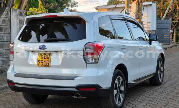 Nunua Ilio tumika Subaru Forester Nyeusi Gari ndani ya Nairobi nchini Nairobi Nunua Ilio tumika Subaru Forester Nyeusi Gari ndani ya Nairobi nchini Nairobi
