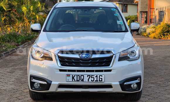 Nunua Ilio tumika Subaru Forester Nyeusi Gari ndani ya Nairobi nchini Nairobi Nunua Ilio tumika Subaru Forester Nyeusi Gari ndani ya Nairobi nchini Nairobi