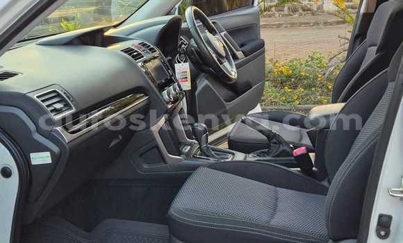 Nunua Ilio tumika Subaru Forester Nyeusi Gari ndani ya Nairobi nchini Nairobi Nunua Ilio tumika Subaru Forester Nyeusi Gari ndani ya Nairobi nchini Nairobi