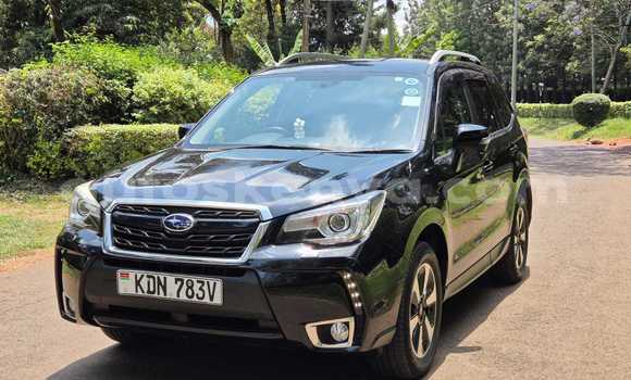 Nunua Ilio tumika Subaru Forester Nyeusi Gari ndani ya Nairobi nchini Nairobi Nunua Ilio tumika Subaru Forester Nyeusi Gari ndani ya Nairobi nchini Nairobi